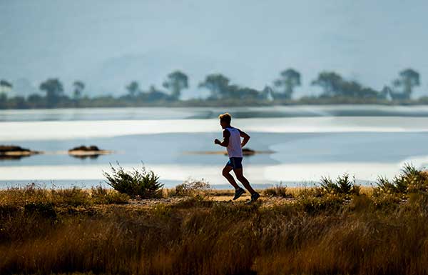 Hammer Phood - Meal Replacement Drink Mix