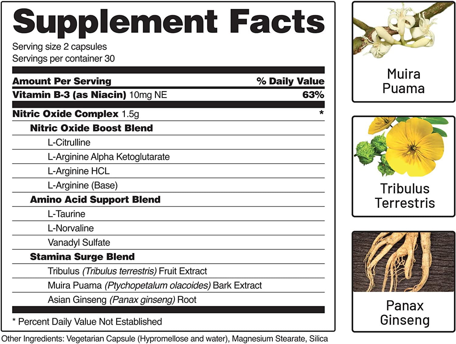 Nitric Oxide Booster, Performance Formula for Stamina & Endurance, 60 Count