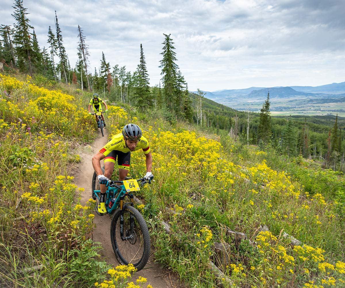 Organic Energy Chews – Variety Pack with Sticker – 8 Count – Chewy Gummy Energy Source for Any Activity - Pink Lemonade, Fruit Smoothie, Pomegranate Passionfruit & Cherry Blossom