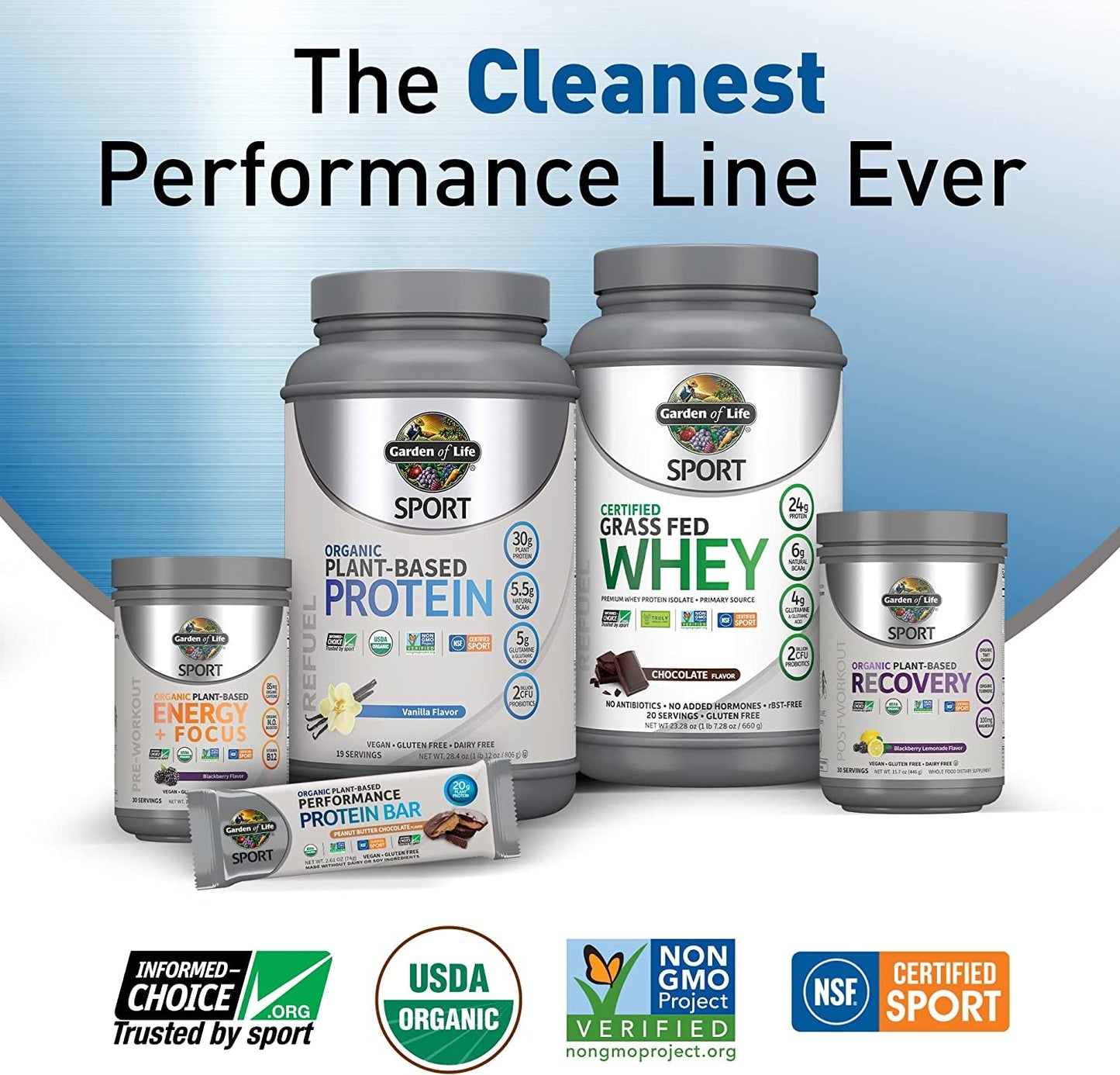 Organic vegan chocolate sport protein powder by PROLINE SPORTS NUTRITION with plant protein, probiotics, BCAAs, gluten-free, dairy-free, 19 servings