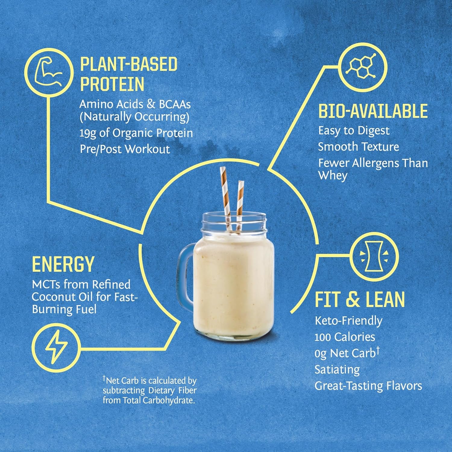 Vegan Organic Protein Powder Plant-Based | BCAA Amino Acids Hemp Seed Soy Free Dairy Free Gluten Free Synthetic Free NON-GMO | Unflavored 30 Servings | Warrior Blend by