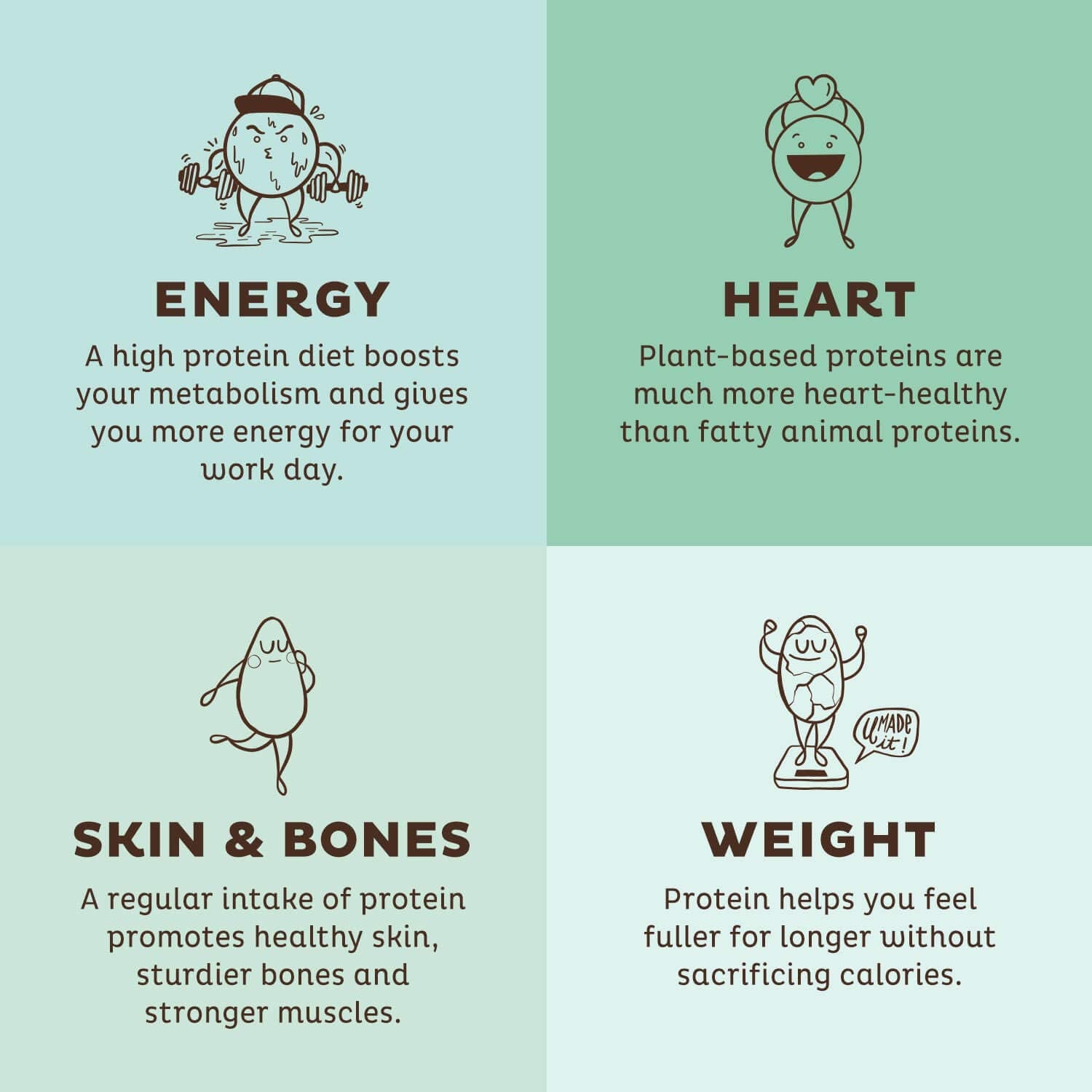 Vegan Protein Powder, Unflavored & Unsweetened - Low Carb Pea Protein Blend, Organic Superfood Rich in Vitamins & Minerals - Keto, Soy, Dairy Free - Meal Replacement for Women & Men - 20 Servings