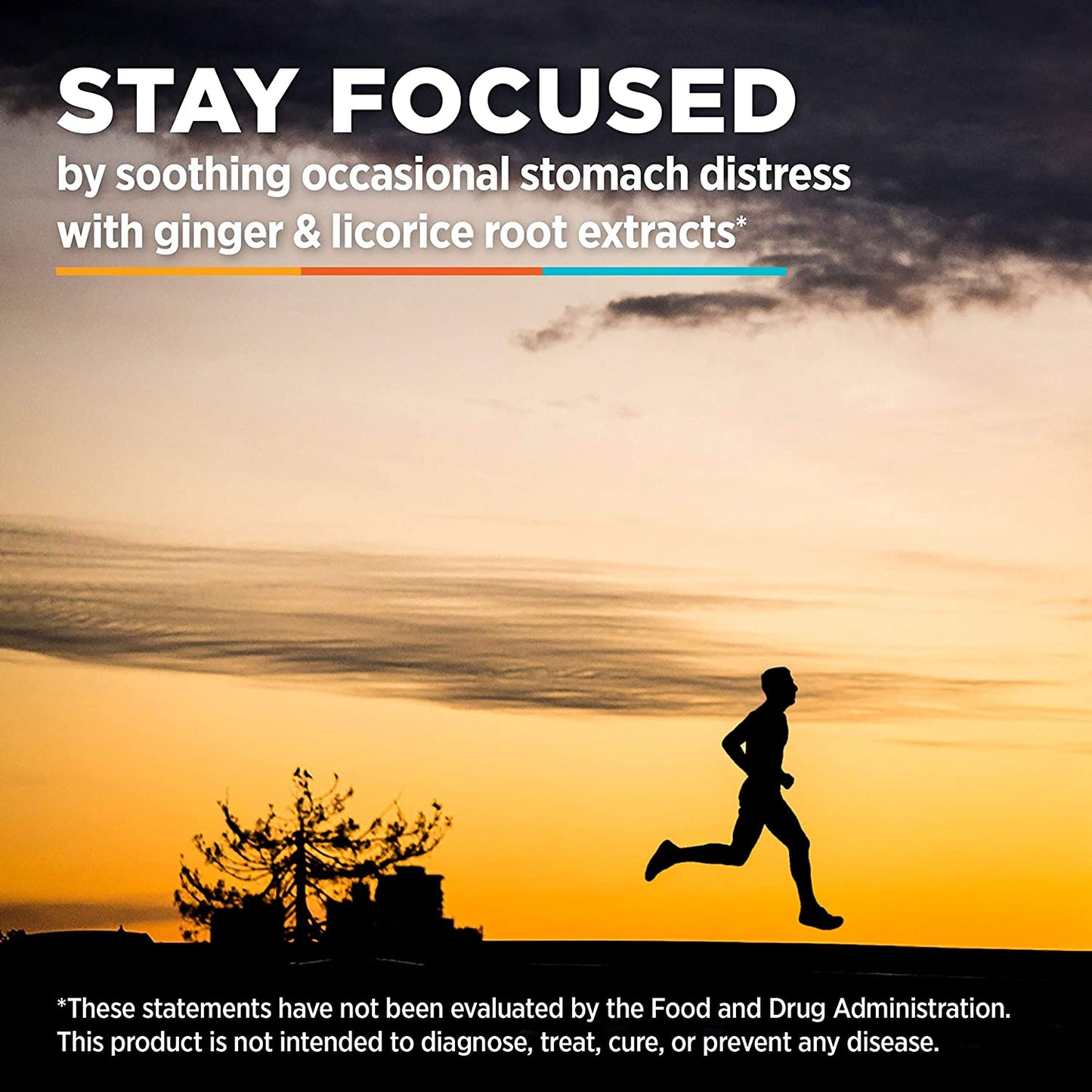 Roctane Probiotic plus Licorice Root Extract and Ginger Capsules, Energy for Before, during or after Any Workout, 60-Count Bottle (1-Month Supply)