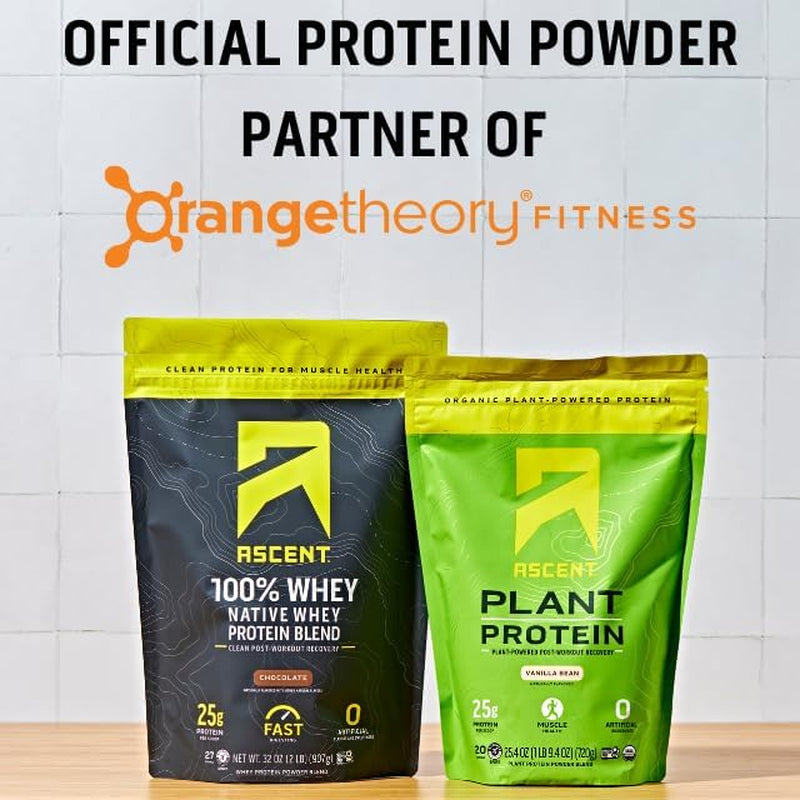 Ascent Native 100% Whey Protein Powder by PROLINE SPORTS NUTRITION in a 2 lb container, featuring whey isolate, BCAA, and essential amino acids.