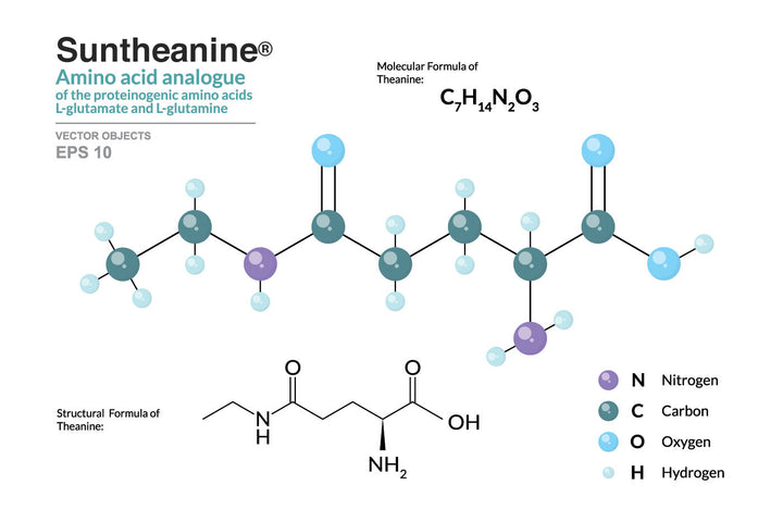 First Endurance EFS-PRO Premium Sports Hydration drink mix packet with a vibrant design, showcasing energy drink hydration benefits.