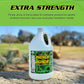 Pickle Juice Sports Drink, 1 Gallon, Extra Strength - Relieves Cramps Immediately - Electrolyte for Day & Night Time Leg Cramp Relief - 1 Gallon, Bulk Size