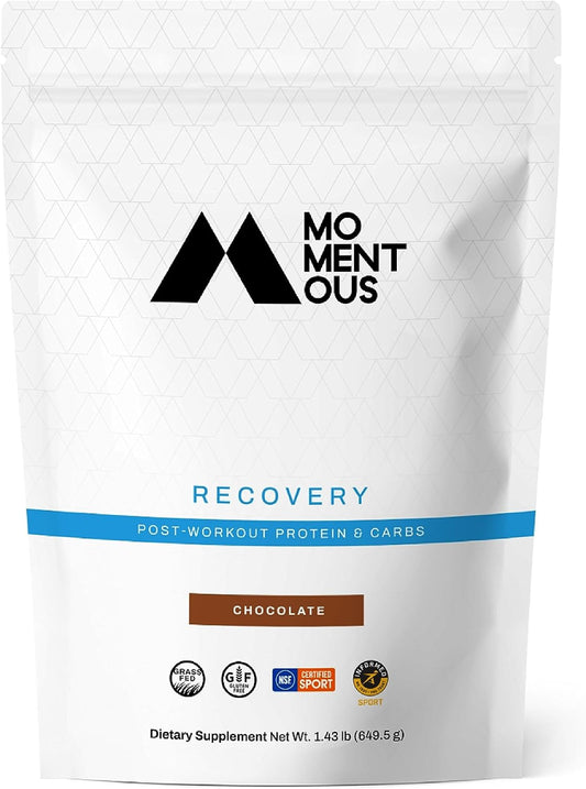 Recovery Grass-Fed Whey Protein Isolate, Post-Workout Protein Powder, 15 Servings, Gluten-Free, NSF Certified (Chocolate)