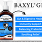 Baxyl GI Joint and Digestive Support supplement bottle showing the label with product name and Baxyl branding.