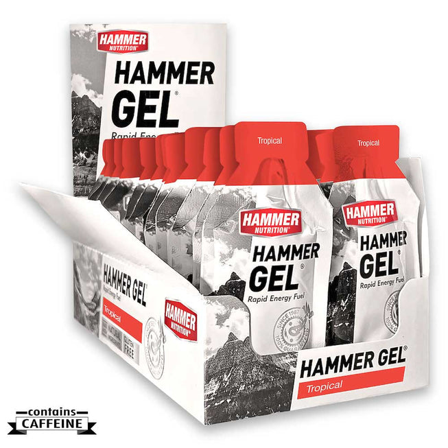 Hammer Nutrition Vanilla Energy Gel box with 24 packs, premium carbohydrate energy gels for endurance and sports nutrition.