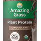 Vegan protein powder by PROLINE SPORTS NUTRITION, creamy chocolate flavor, plant-based organic blend, dairy, gluten, soy free, 10 servings
