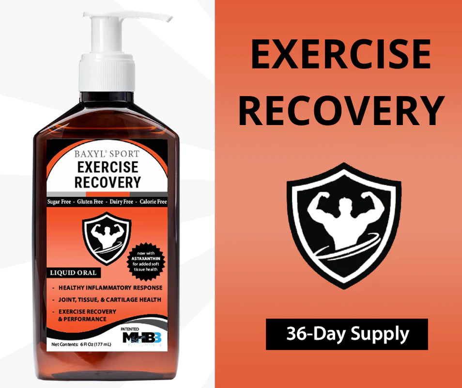 Baxyl Sport exercise recovery supplement from PROLINE SPORTS NUTRITION, showing the product container with label.