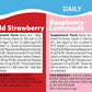 PROLINE SPORTS NUTRITION Hydration Daily Wellness Electrolyte Tablets in Mixed Berry, 4-pack with 40 servings.