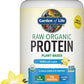 Organic vegan vanilla protein powder by PROLINE SPORTS NUTRITION in a 1.5 lb container, showcasing the label with product details.