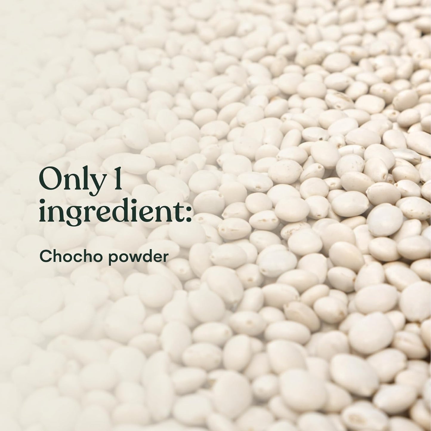 Vegan vanilla protein powder by PROLINE SPORTS NUTRITION, plant-based chocho superfood, dairy-free, gluten-free, packed with vitamins and fiber.