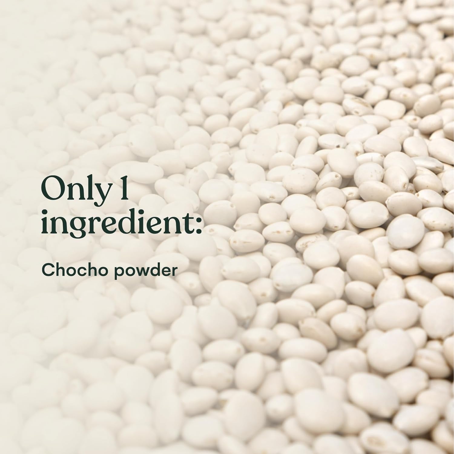 Vegan vanilla protein powder by PROLINE SPORTS NUTRITION, plant-based chocho superfood, dairy-free, gluten-free, packed with vitamins and fiber.